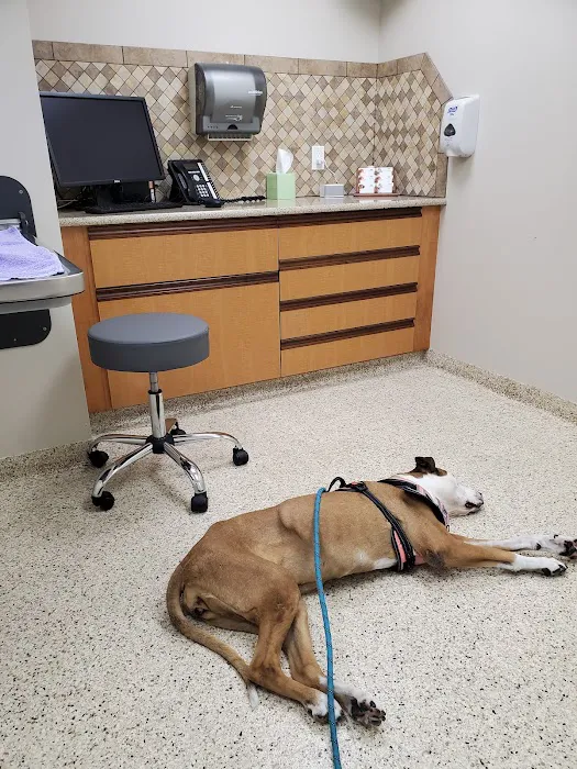 Metzger Animal Hospital: Mannino Shelly DVM Picture 5