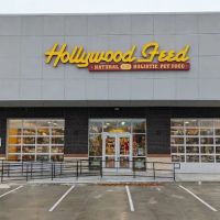 Hollywood Feed ico