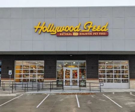 Hollywood Feed