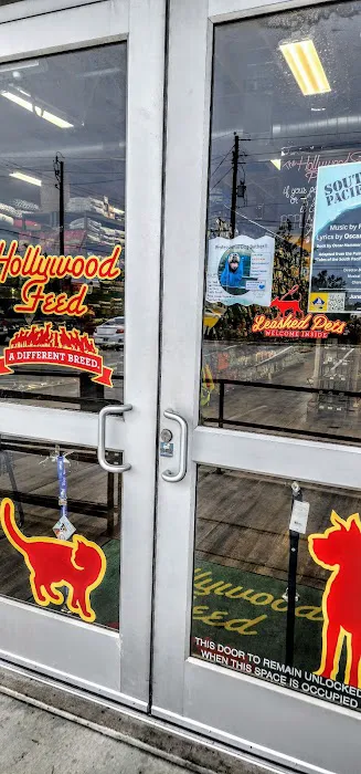 Hollywood Feed Picture 10