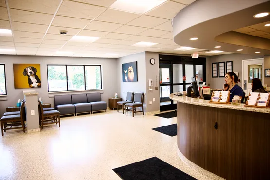 VCA Metzger Animal Hospital Picture 1