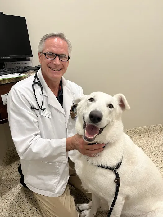 VCA Metzger Animal Hospital Picture 9