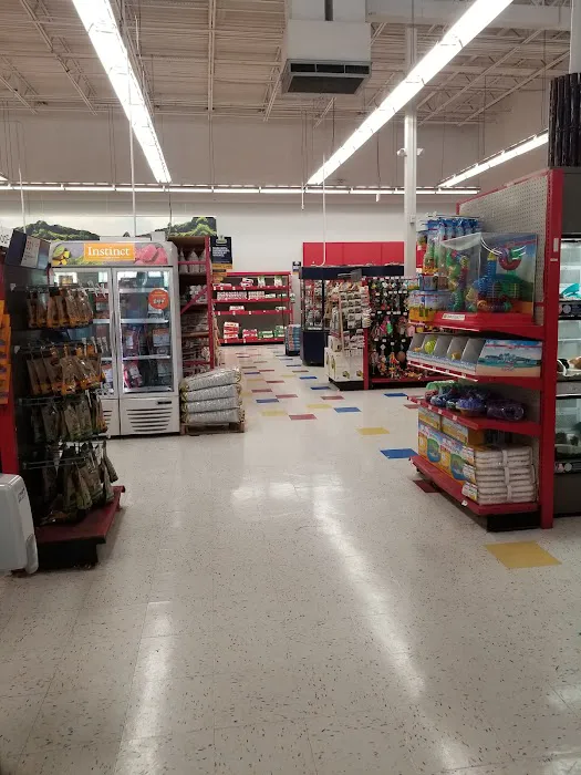 Petco Picture 7