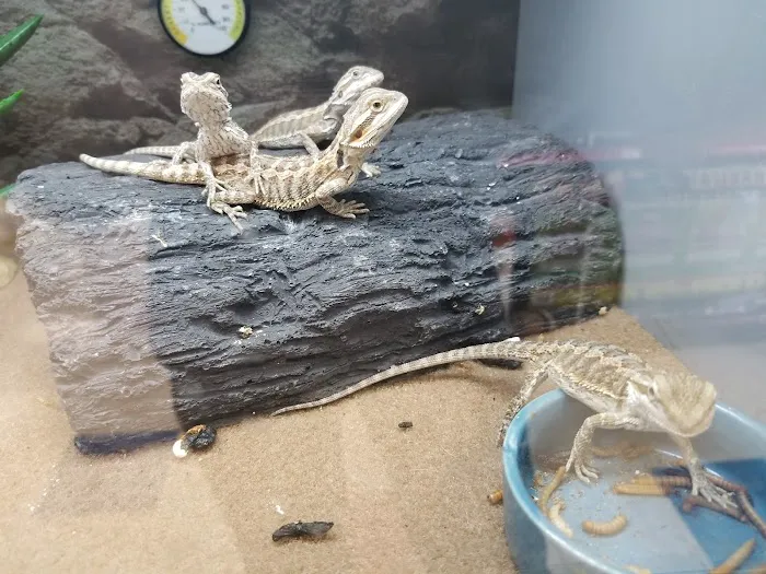 Petco Picture 4