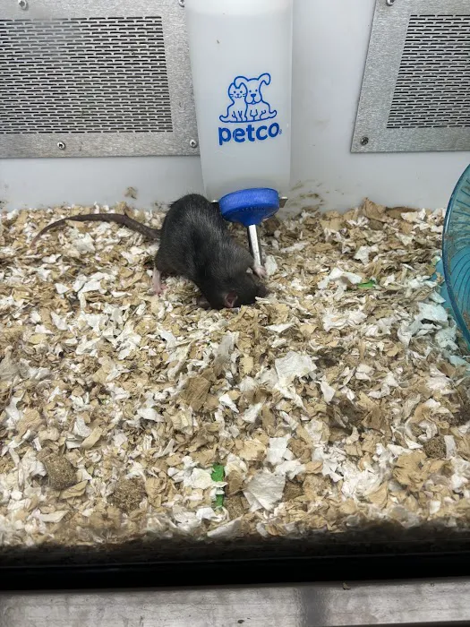 Petco Picture 10