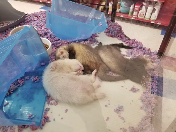 Petco Picture 3