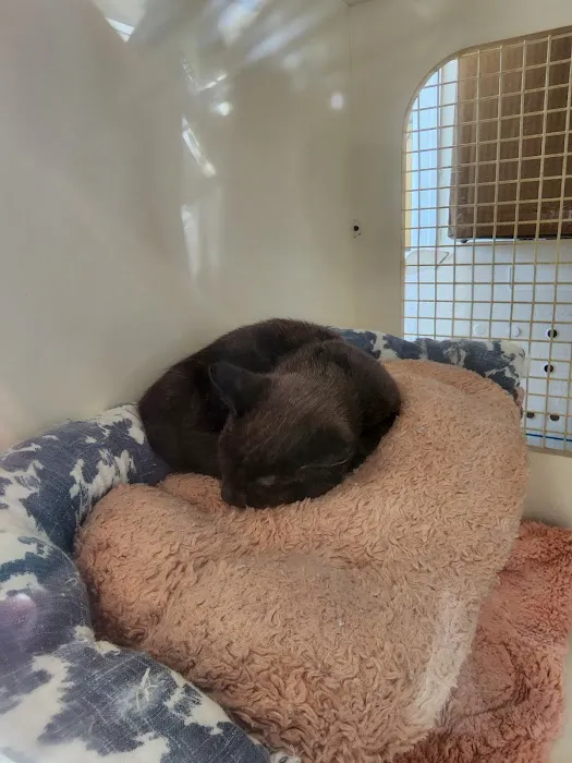 Petco Picture 9