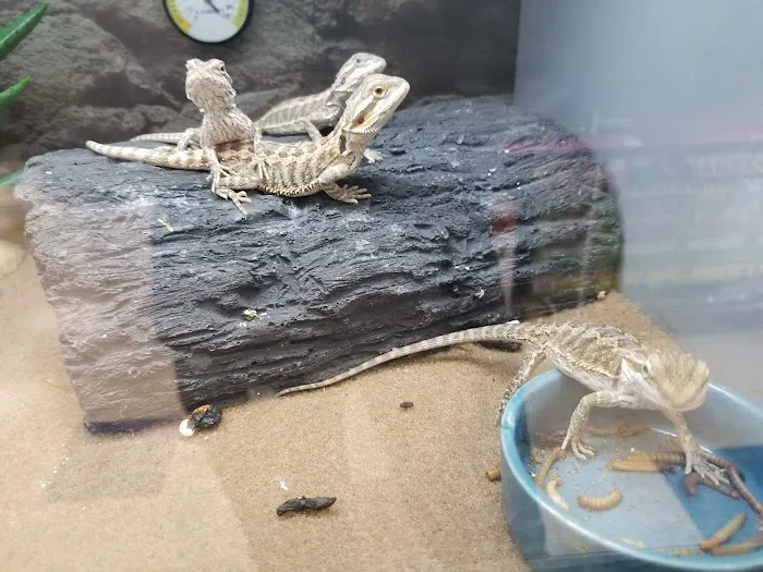 Petco Picture 5