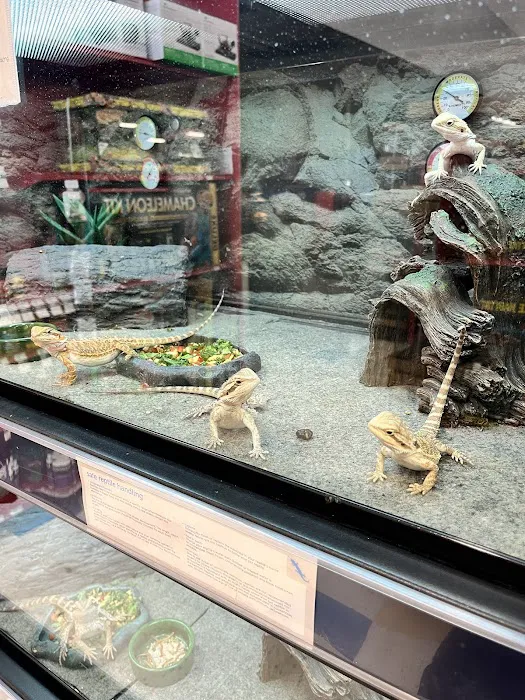 Petco Picture 8