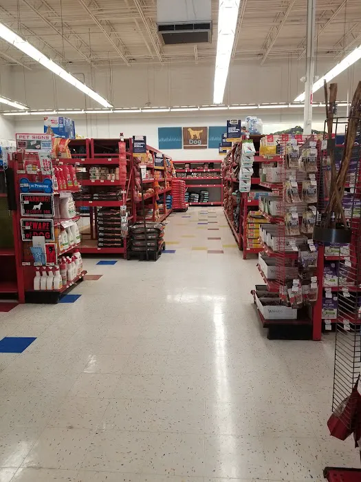 Petco Picture 2