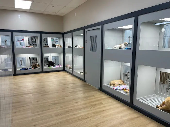 Petland McKinney Picture 1