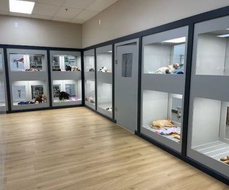 Petland McKinney