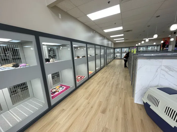 Petland McKinney Picture 2