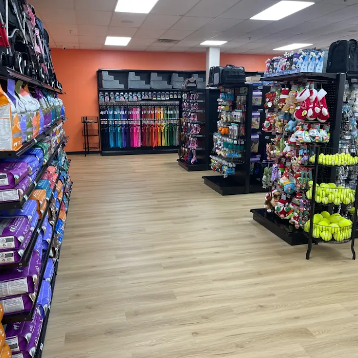 Petland McKinney Picture 4
