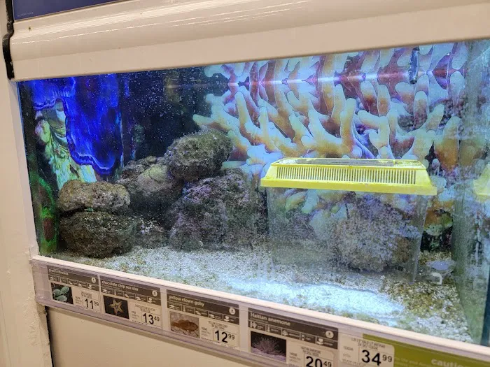 Petco Picture 2