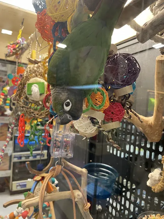 Petco Picture 7