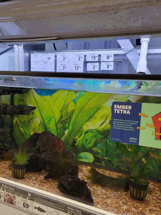 Petco Picture 6