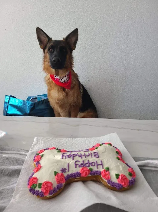 The Canine Cookie Company Picture 2