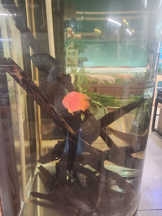 A-Z Aquatic LLC Picture 3