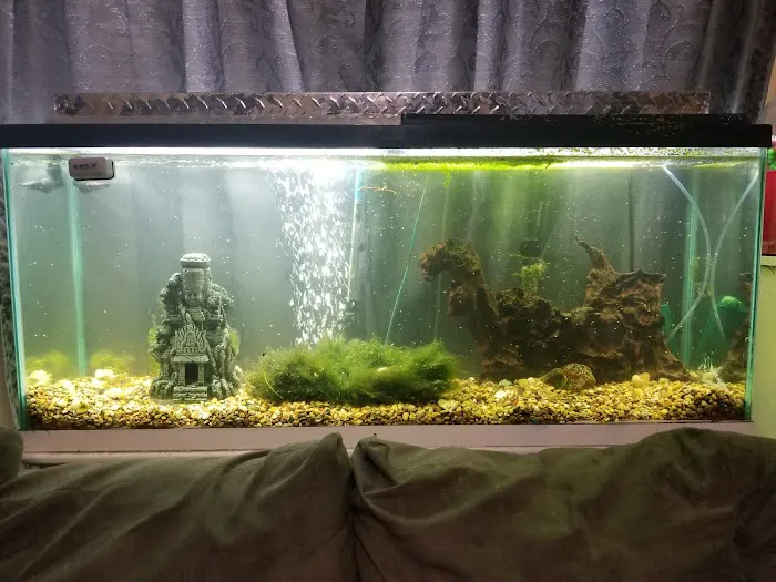 A-Z Aquatic LLC Picture 1