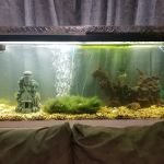 A-Z Aquatic LLC
