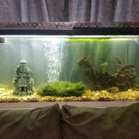 A-Z Aquatic LLC ico