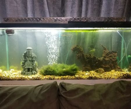 A-Z Aquatic LLC