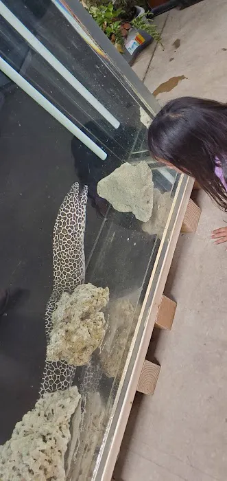 A-Z Aquatic LLC Picture 5