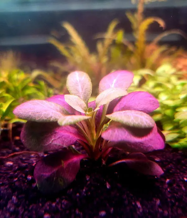 A-Z Aquatic LLC Picture 10