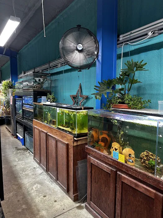 A-Z Aquatic LLC Picture 8
