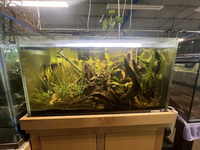 A-Z Aquatic LLC Picture 9