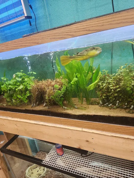 A-Z Aquatic LLC Picture 4