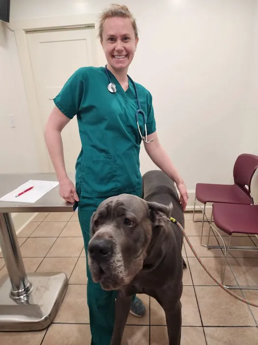 Kingdom Veterinary Hospital Picture 1