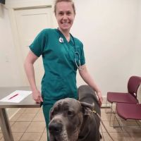 Kingdom Veterinary Hospital ico