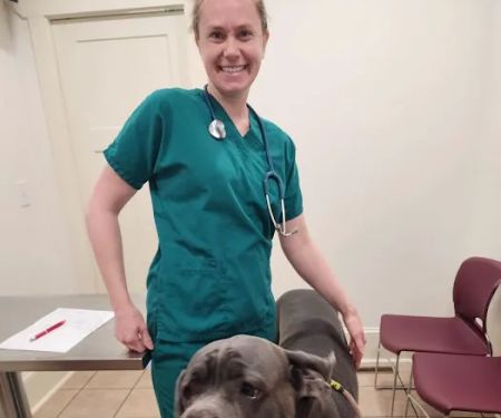 Kingdom Veterinary Hospital