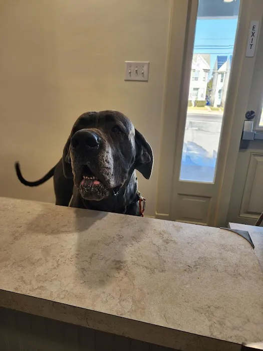 Kingdom Veterinary Hospital Picture 2