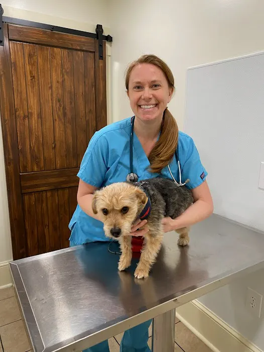 Kingdom Veterinary Hospital Picture 3
