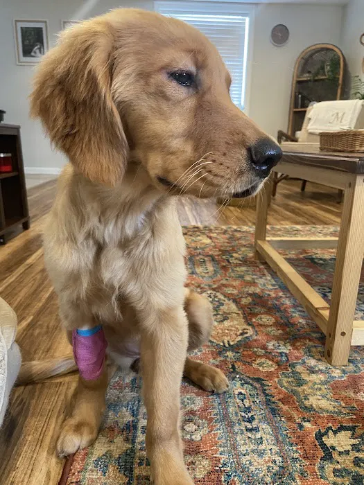 RoseBird Veterinary Center Picture 4