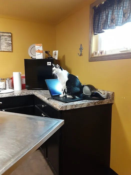 RoseBird Veterinary Center Picture 7