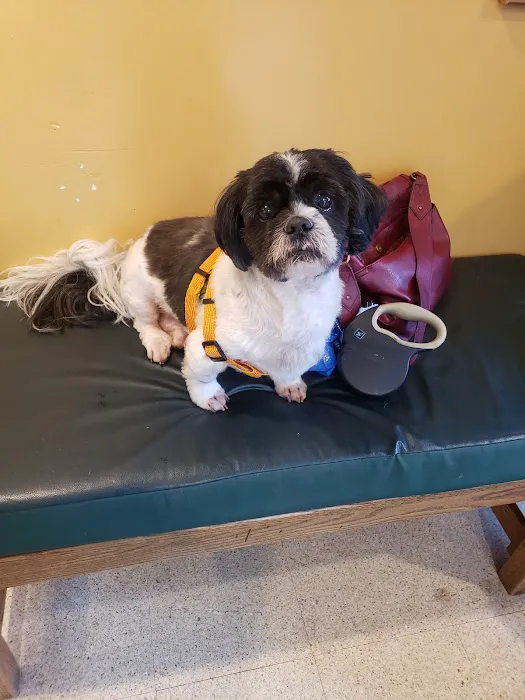 Pine Creek Veterinary Associates Picture 8