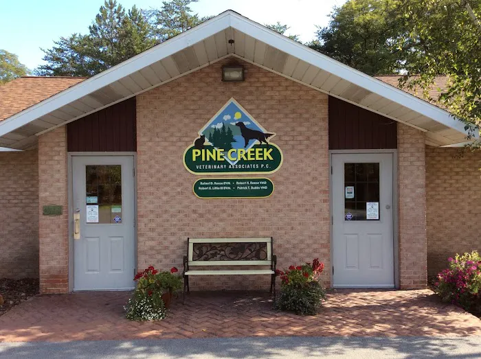 Pine Creek Veterinary Associates Picture 6
