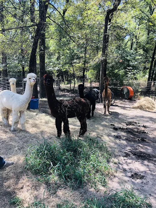 Timber Lodge Alpacas Picture 2
