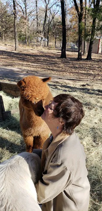 Timber Lodge Alpacas Picture 9