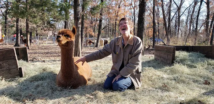 Timber Lodge Alpacas Picture 8