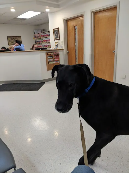 VCA Ho-Ho-Kus Animal Hospital Picture 7