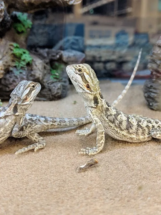 Petco Picture 5