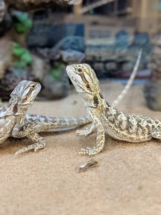 Petco Picture 10