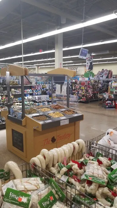 Petco Picture 3