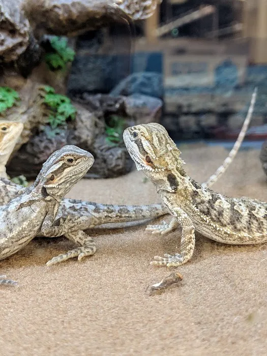 Petco Picture 7