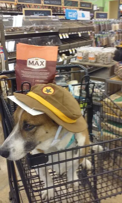 Petco Picture 8